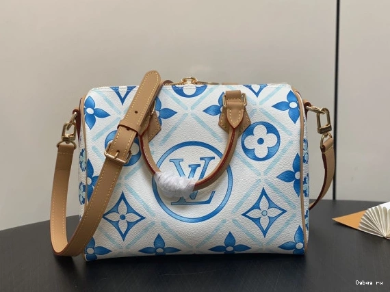 Louis Vuitton SPEEDY 25 0710
